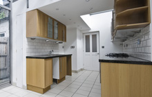 Newry kitchen extension leads